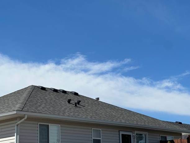 Trusted Junction City, KY Roofing service Experts